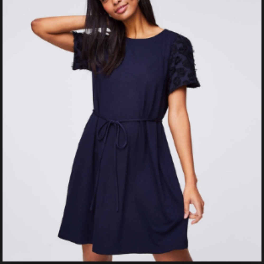 NEW Ann Taylor, Petal Sleeve Tie Waist Dress